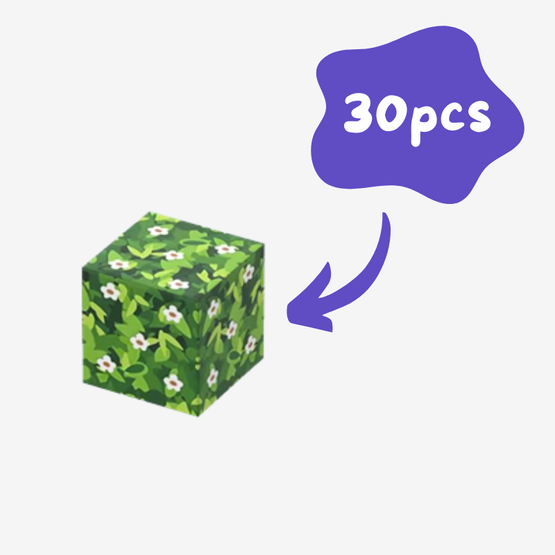 Add-on Magnetic Building Blocks